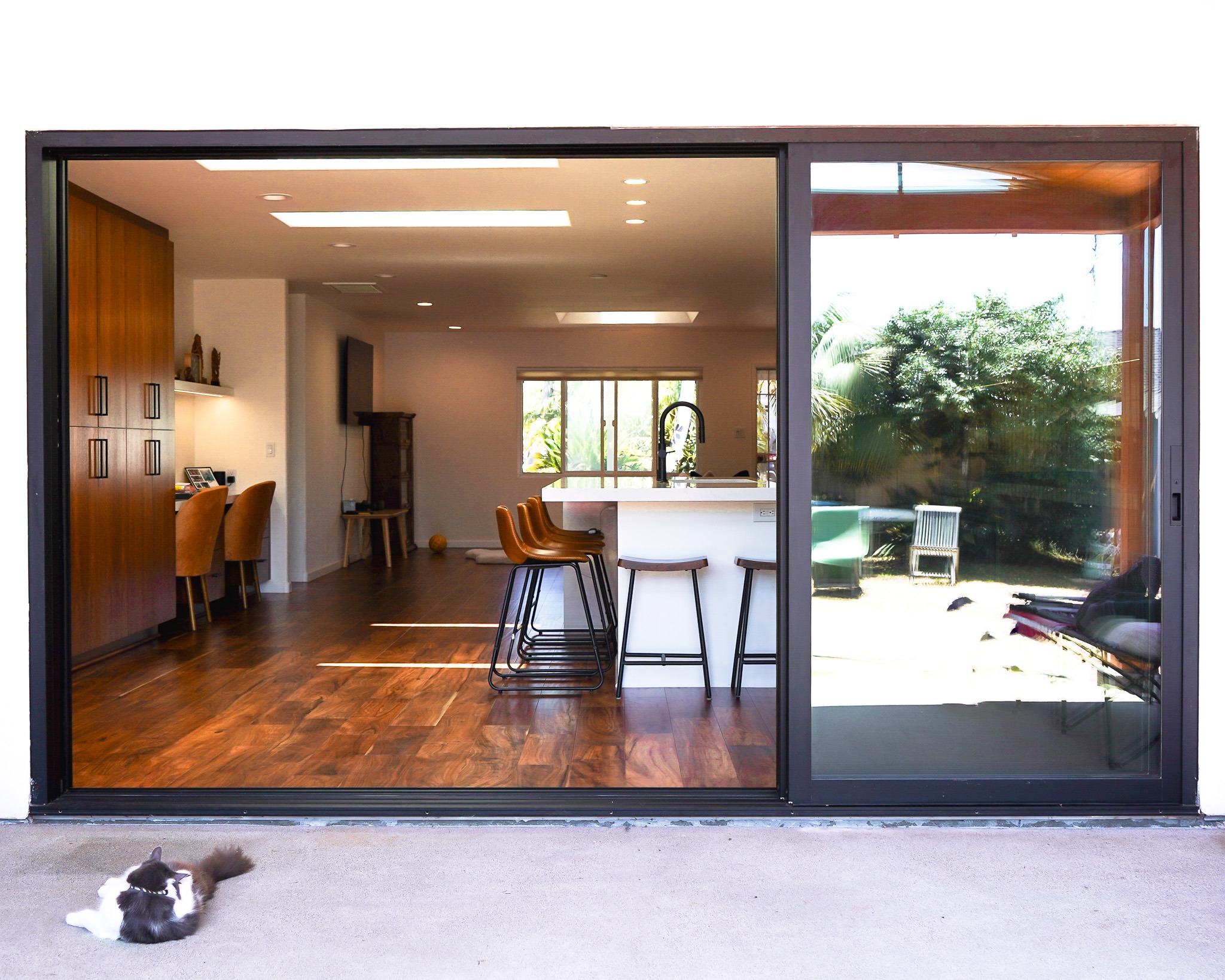Untitled-305 A contemporary kitchen viewed through a large open sliding glass door, with a cat lying on the ground in the foreground.
